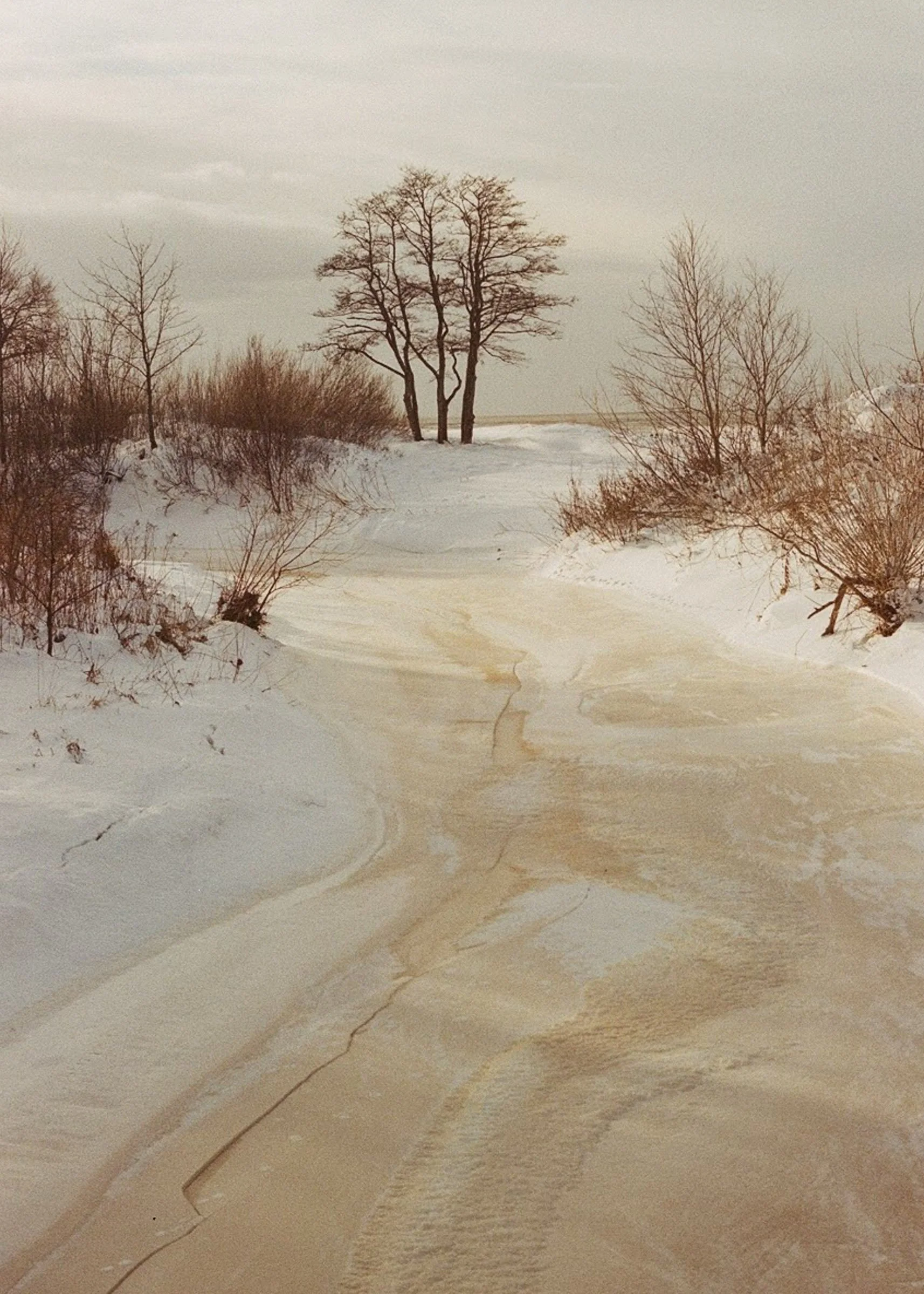 WINTER SOLSTICE (Latvia)