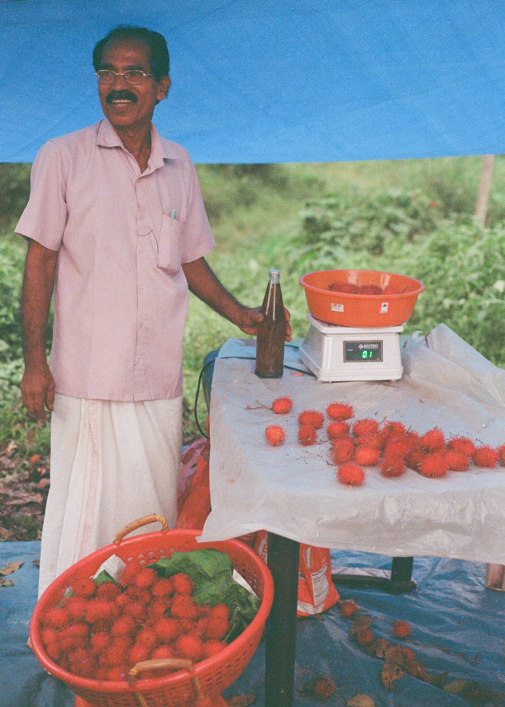 RAMBUTAN (Kerala)