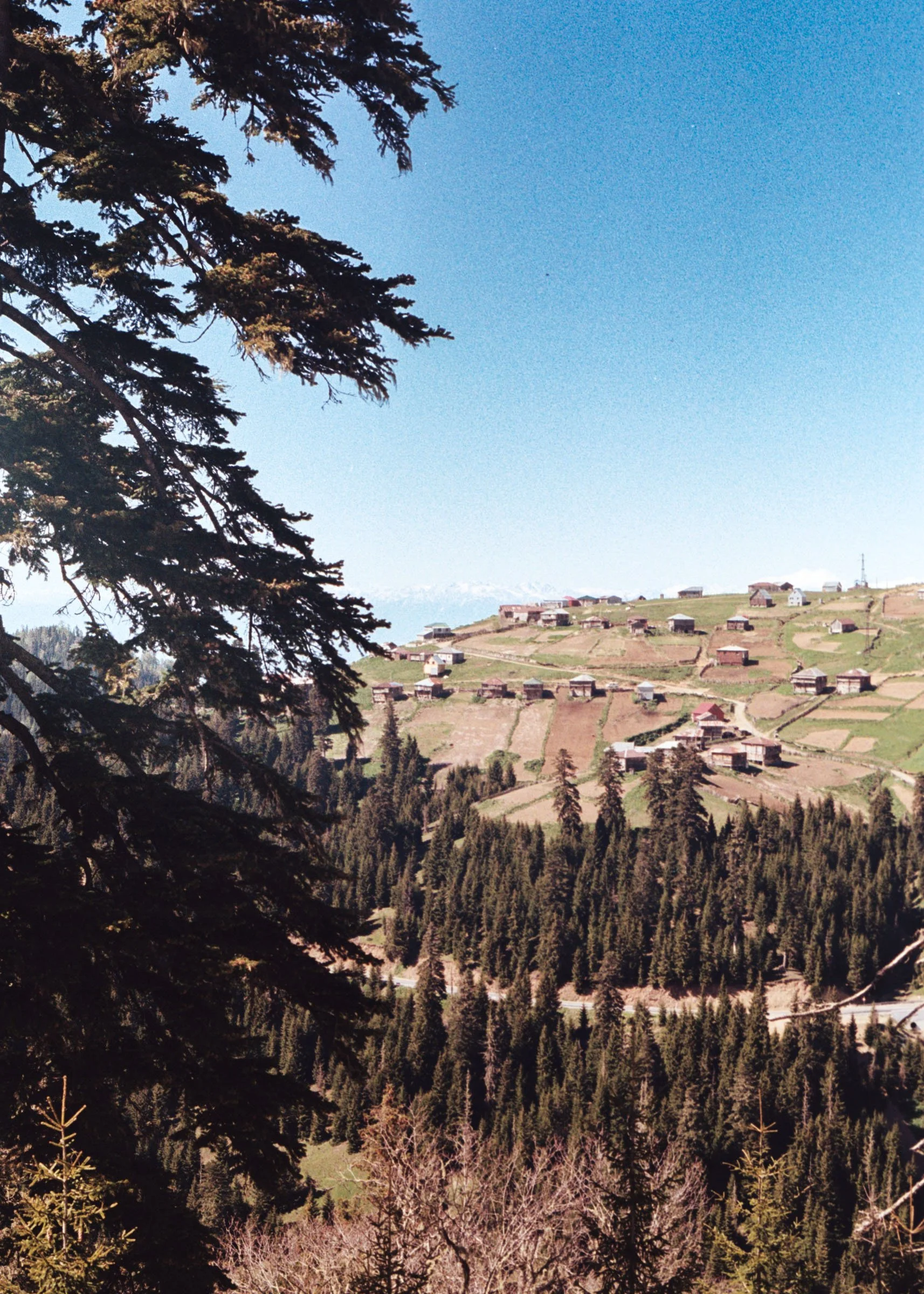 CLIMATOTHERAPY (Georgia)
