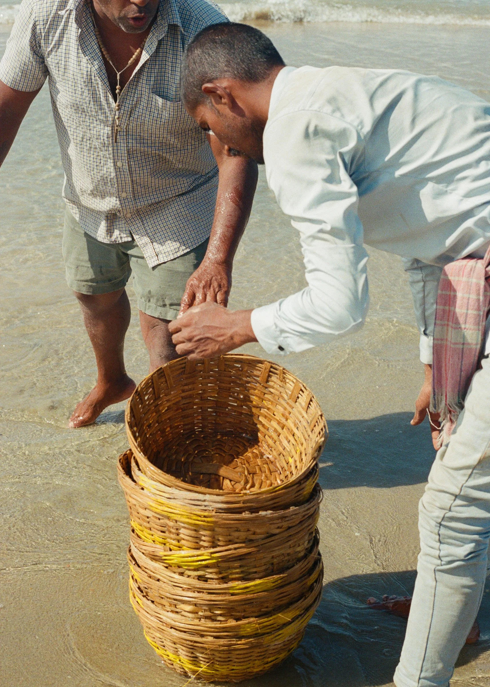 HARVEST (Goa)