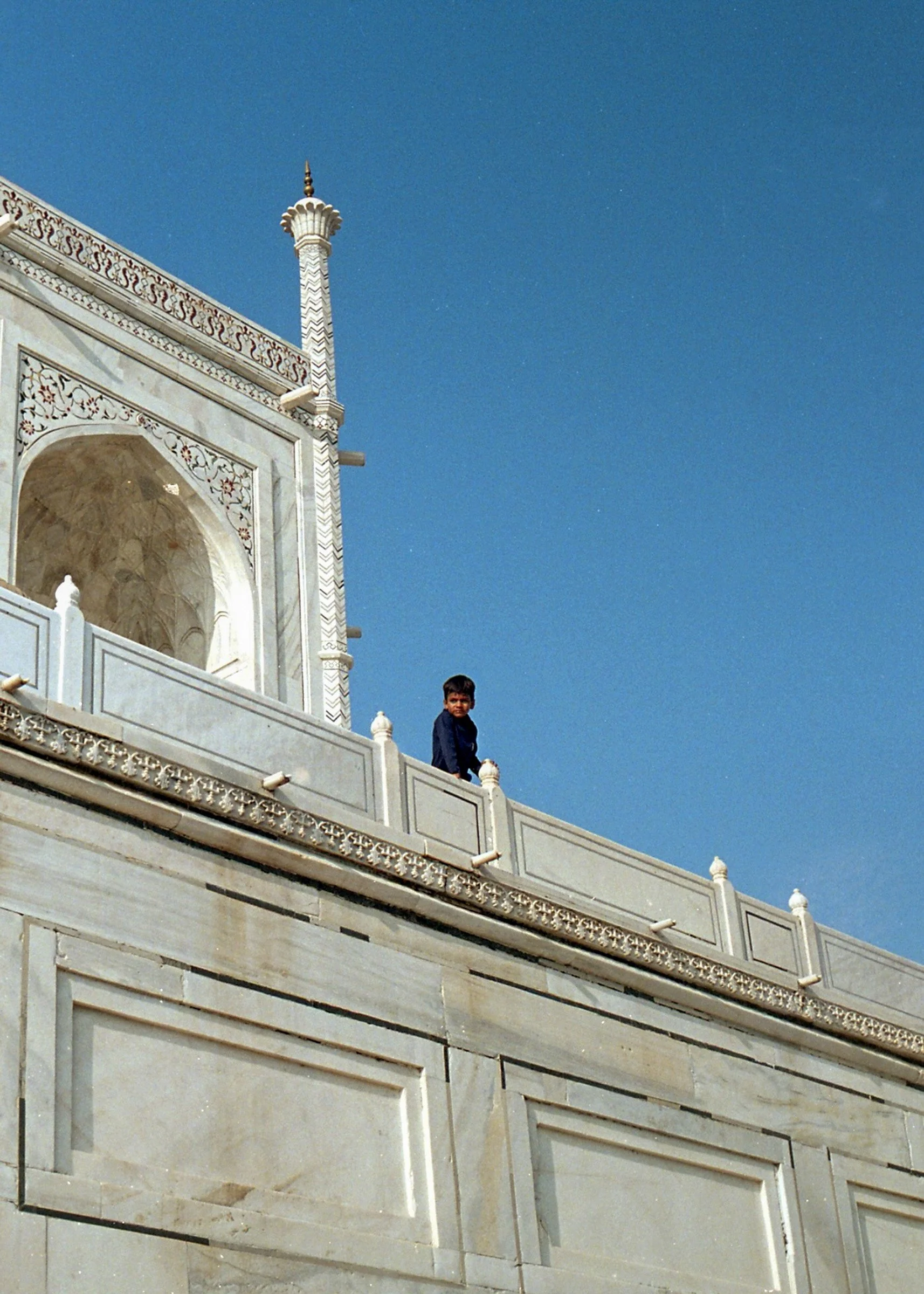 LION (Agra)