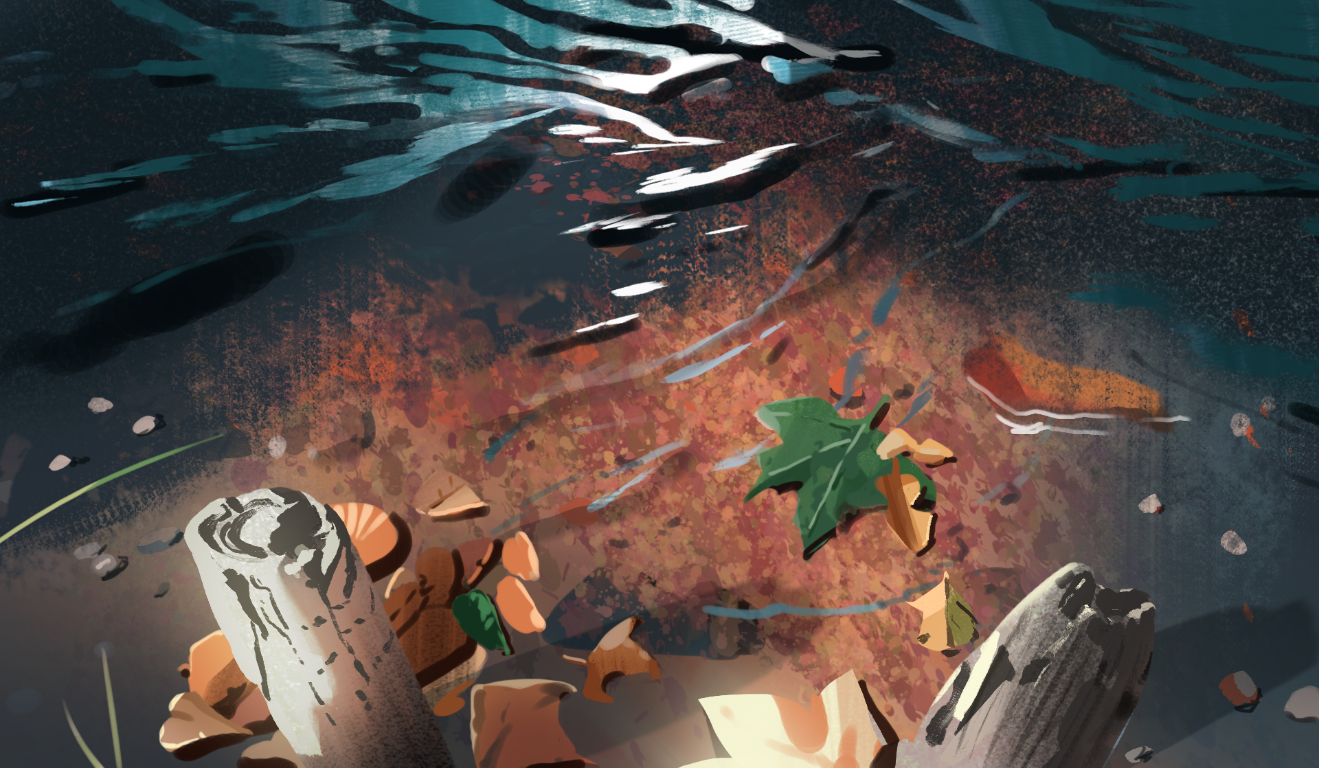study2.png