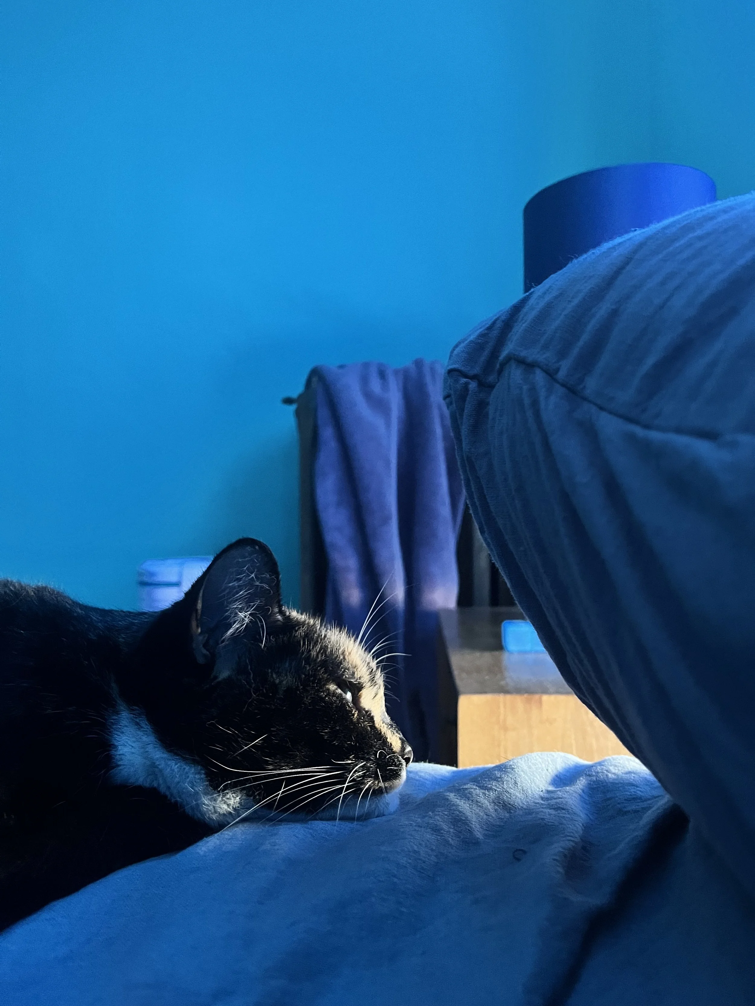 IMG_0316.jpeg