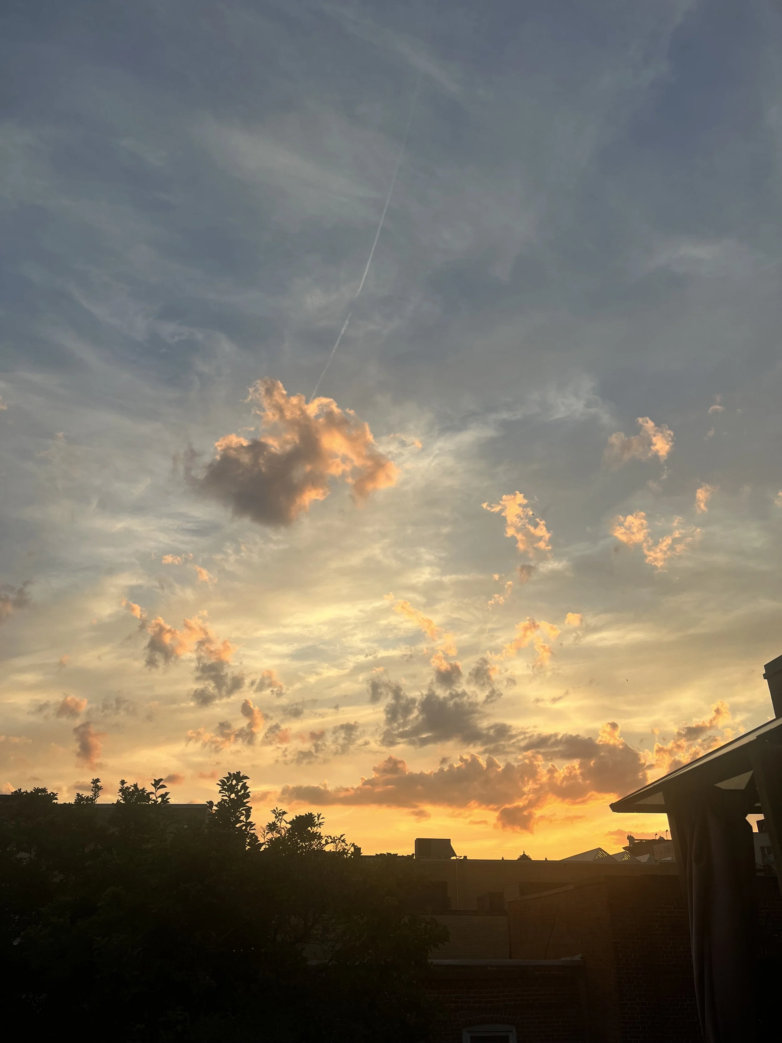 IMG_9905.jpeg