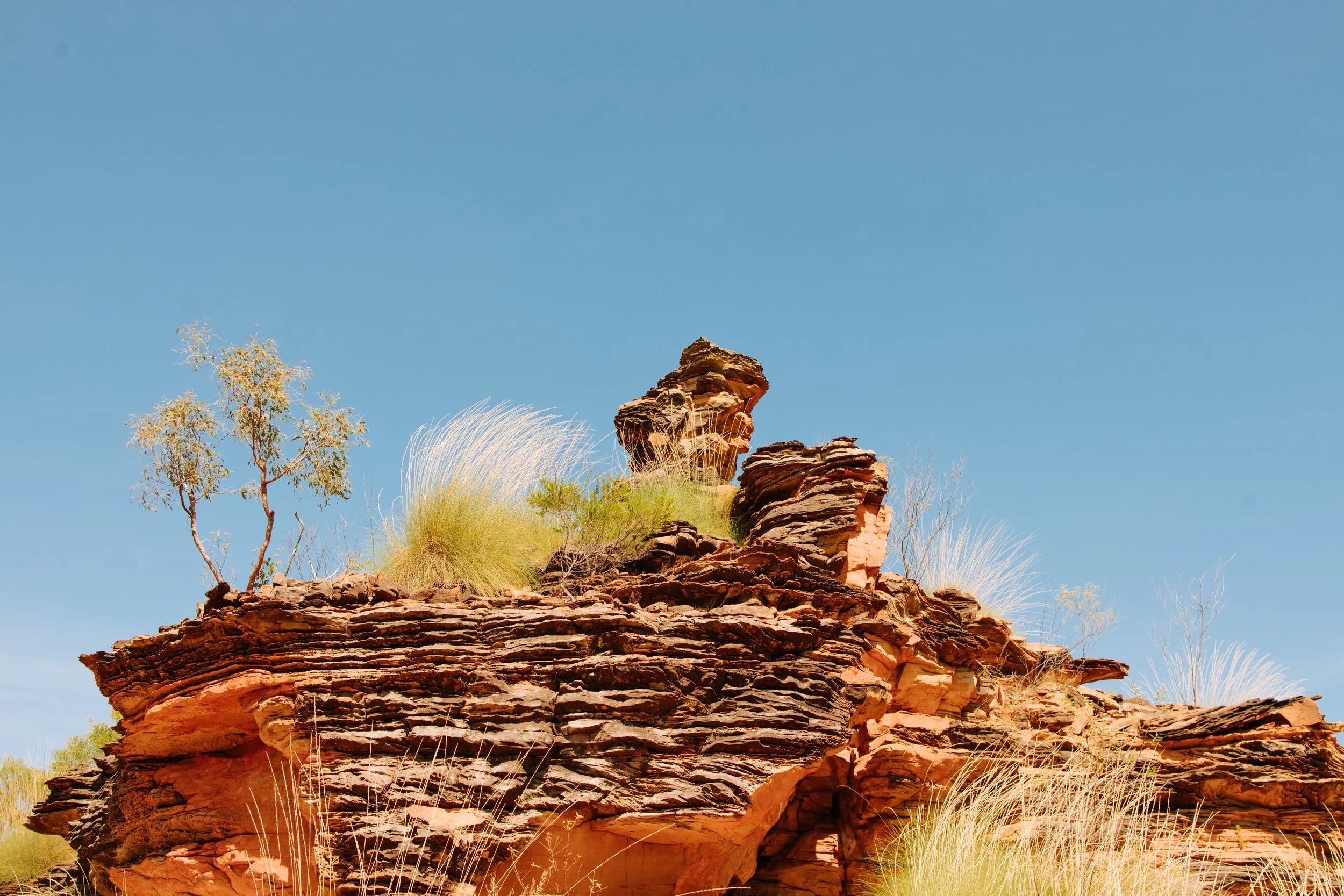 A rocky desert formation with small bushes and a plant with thin leaves against a clear blue sky.