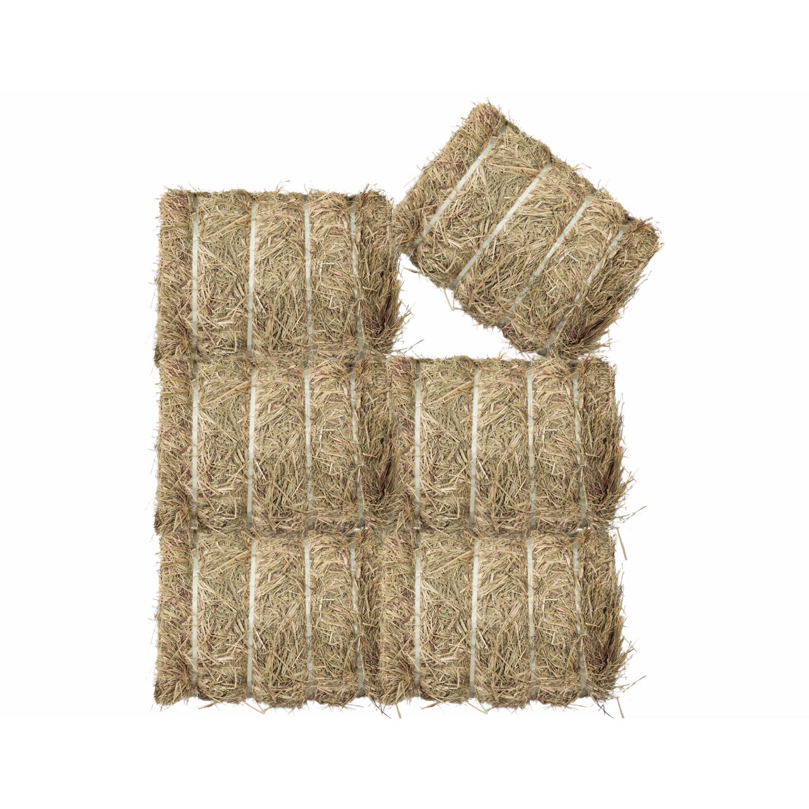 Purchase your horses' hay through Equicore in the UAE. Timothy Hay from the USA is a best seller!