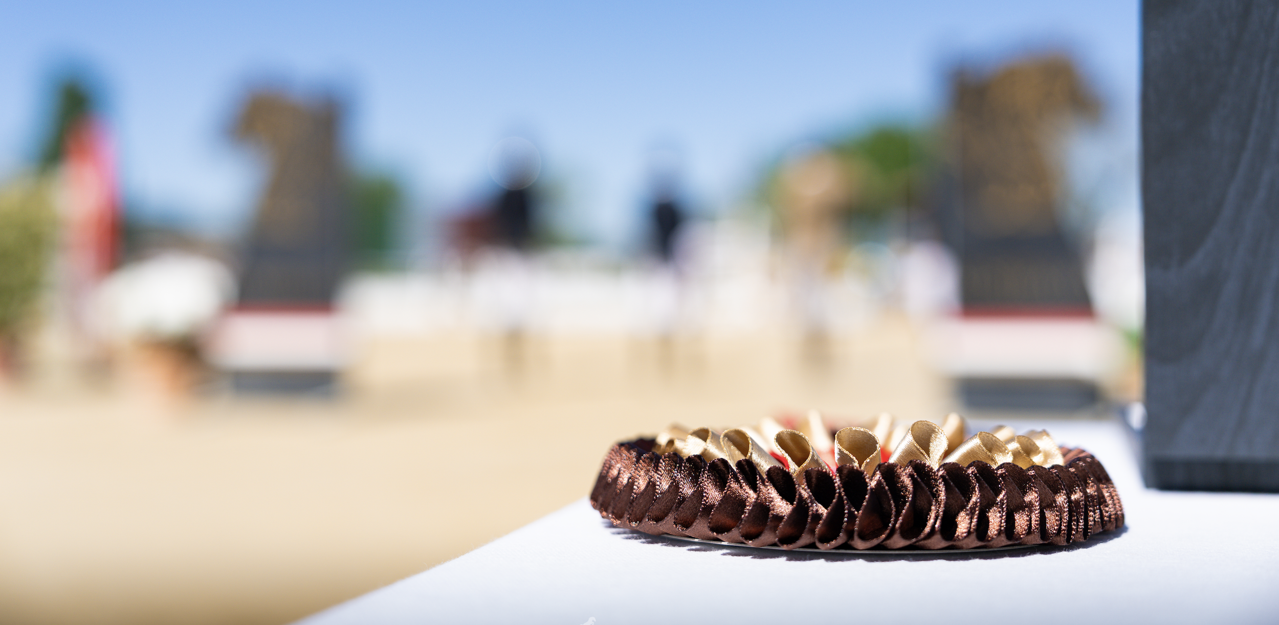From trophies, to rosettes, and all management of a show, at Equicore we can bring your equestrian vision to reality.