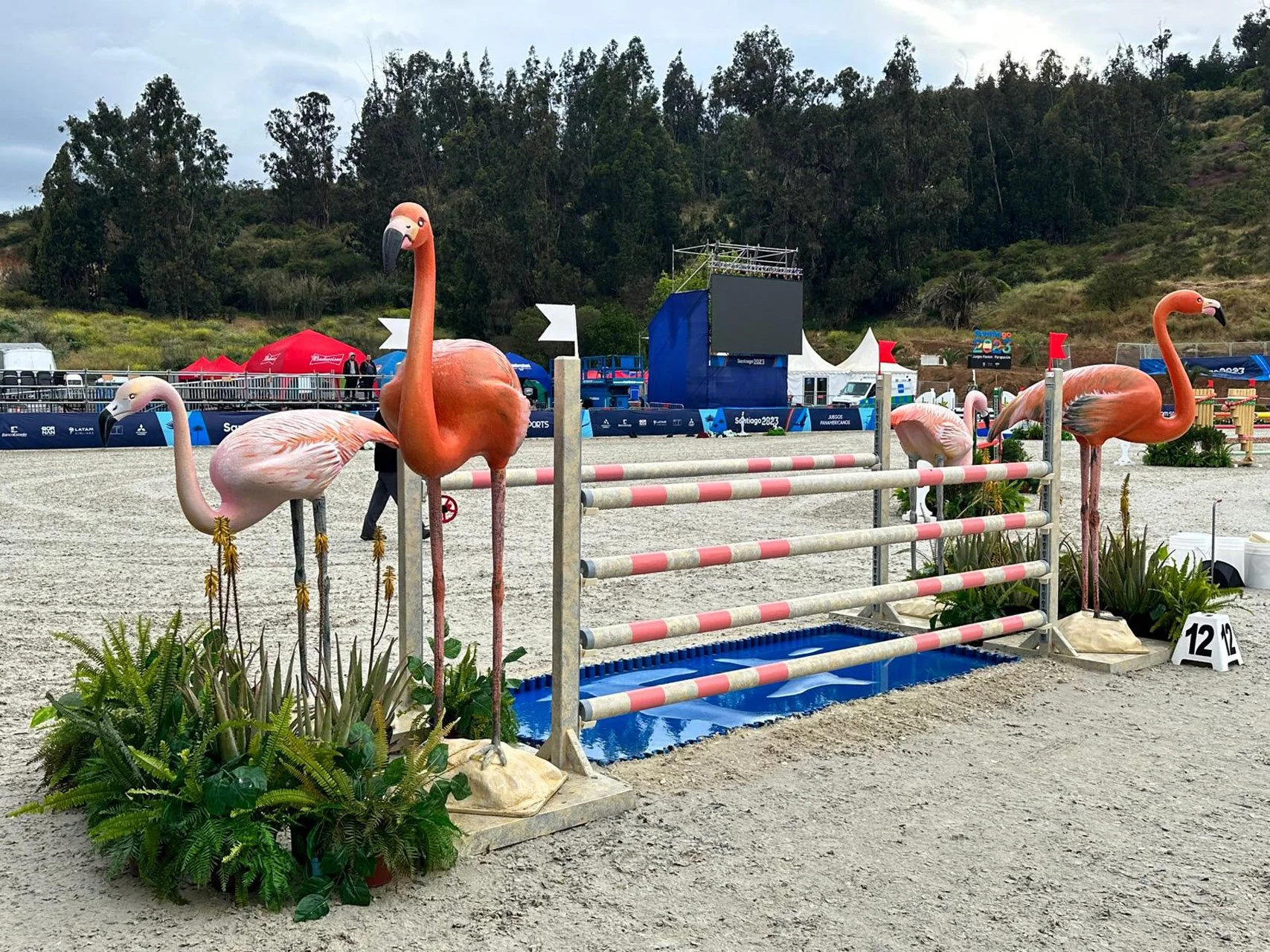 The flamingo showjumping, available in the UAE through Equicore.