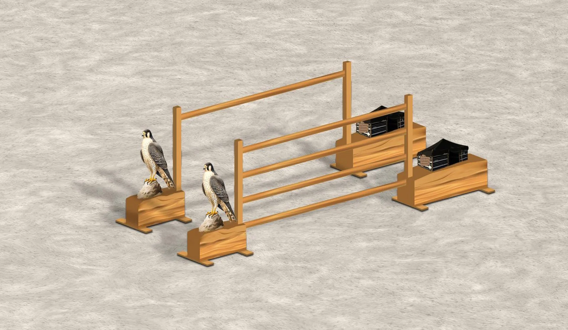 Two falcons perched on rocks next to a wooden obstacle with horizontal bars and small shelters on a sandy surface. available through Equicore.