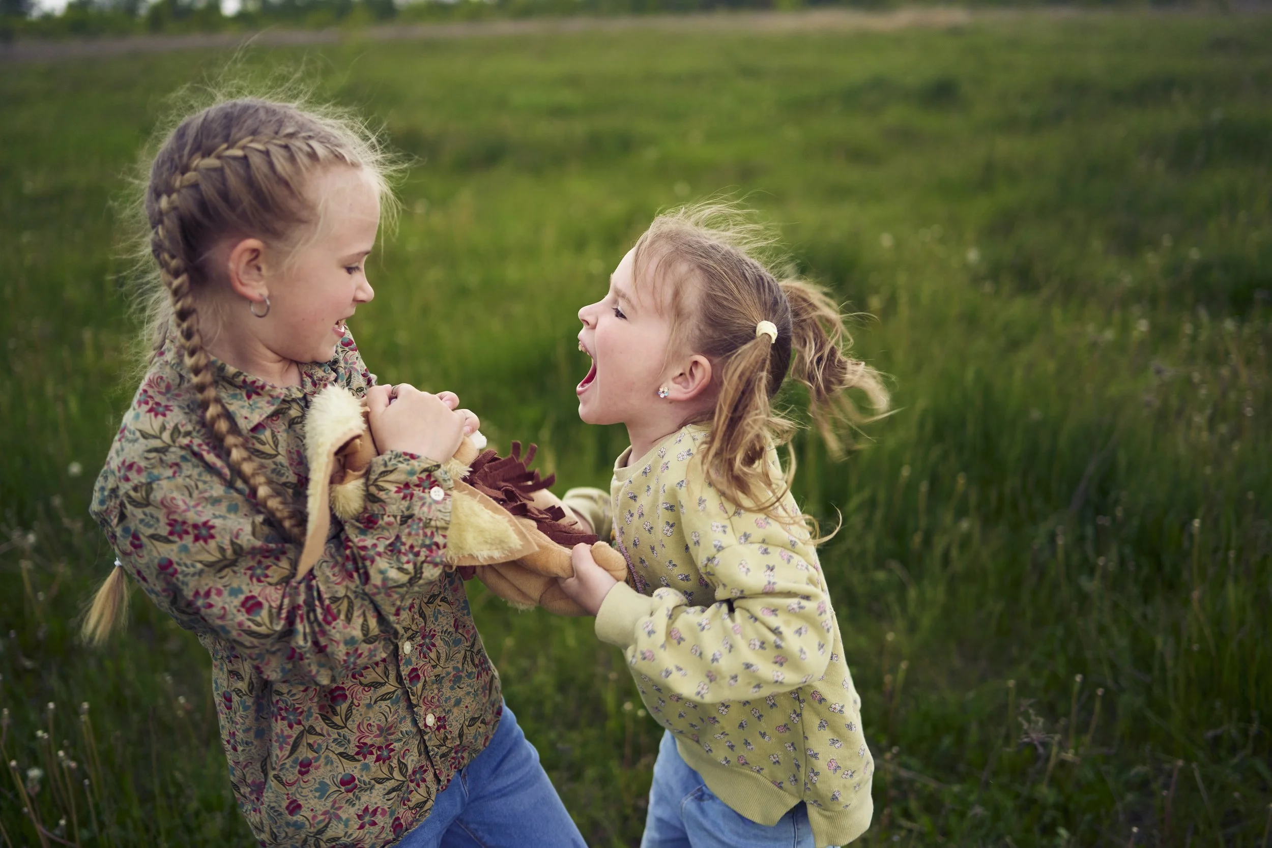 Family Training for Siblings: Encouraging Inclusive Play