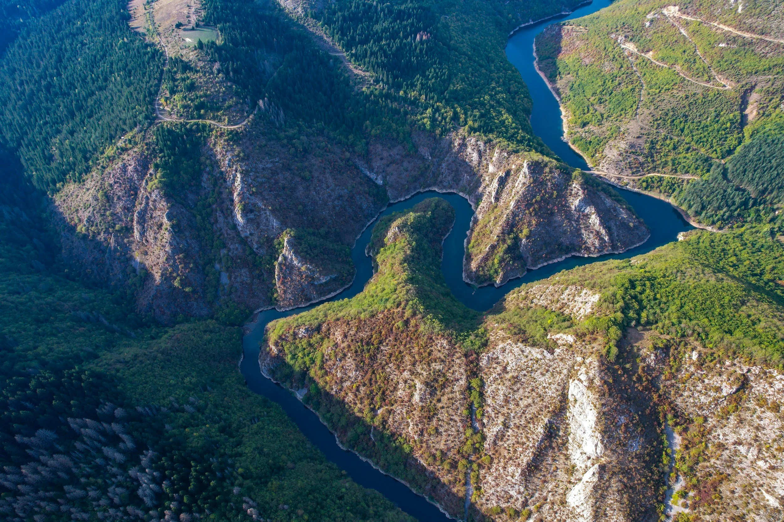 Why Sustainable Leadership Depends Upon Collaboration