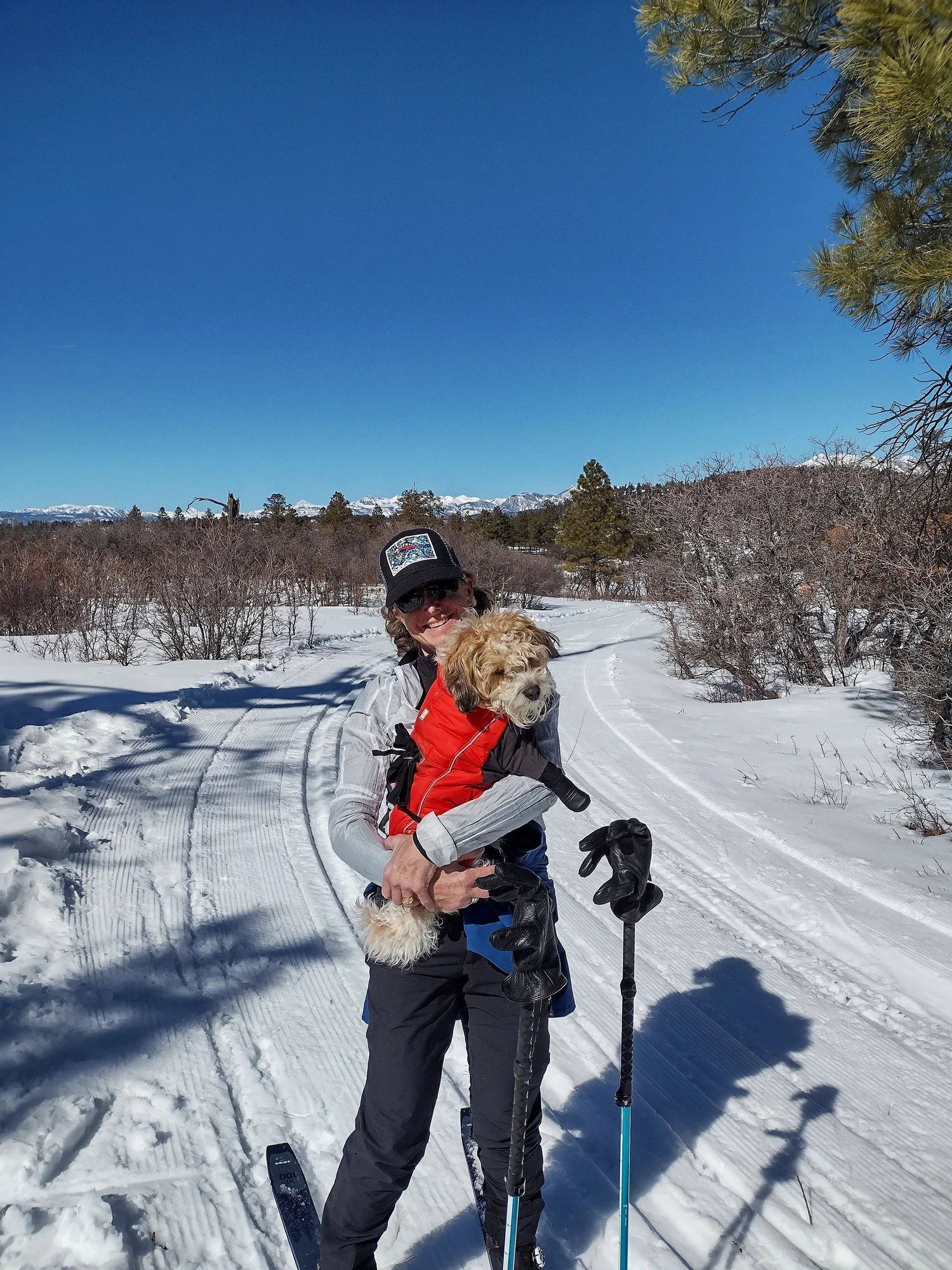 Lisa dressed in winter gear holding a small fluffy dog in a red jacket, standing on a snow-covered trail in a wooded area with snow-capped mountains in the background on a clear, sunny day.