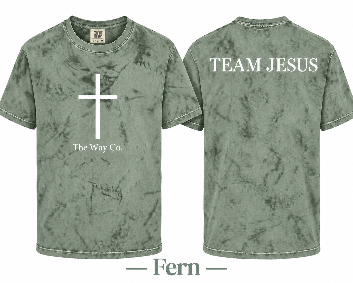 Fern.png