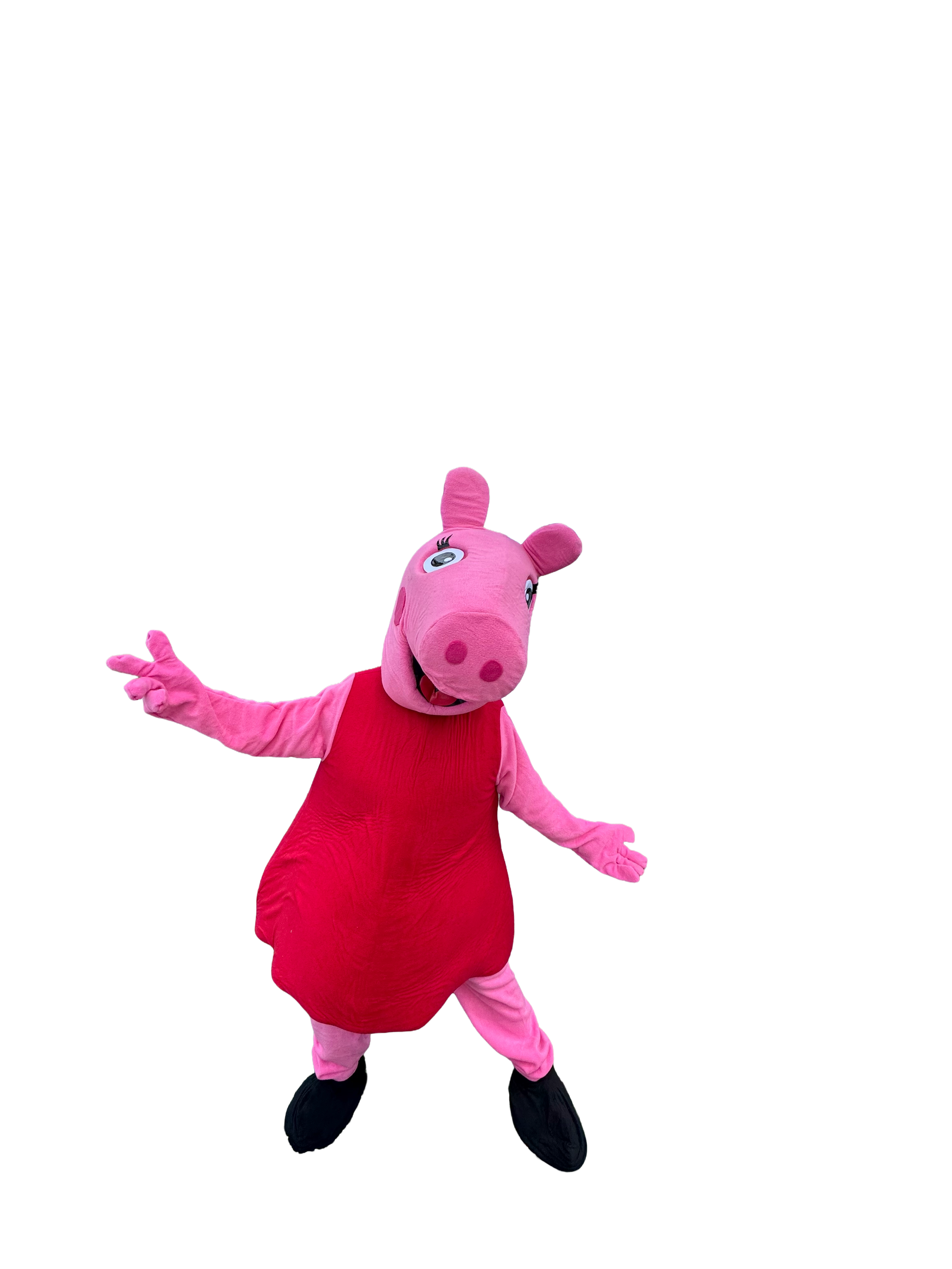 IMG_0832.PNG