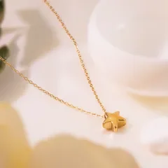 Star-Pattern-Women-s-Gender-Ion-Plating-IP-18K-Gold-Plated-Star-304-Stainless-Steel-Simple-Style-Streetwear-Commute-Waterproof-Non-Tarnish-Pendant-Necklace.webp