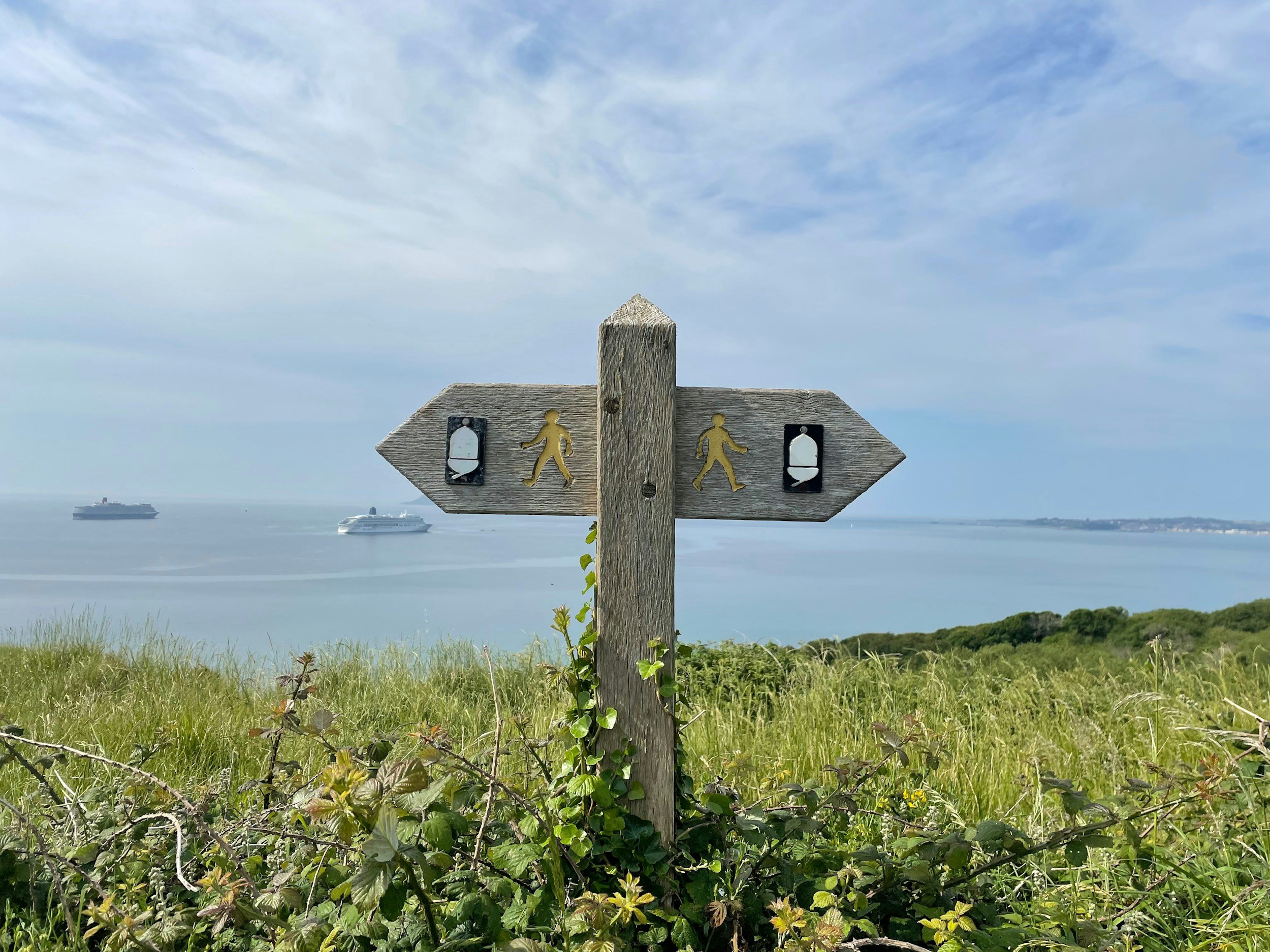 A wooden signpost with directional arrows and silhouette figures of hikers, set against a coastal landscape with ship cruise ships and a cloudy sky.