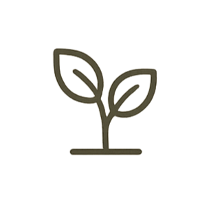 Plant line drawing icon symbolizing continuous growth for StandOut Leadership Consultancy.