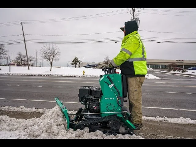 snowrhino.jpg