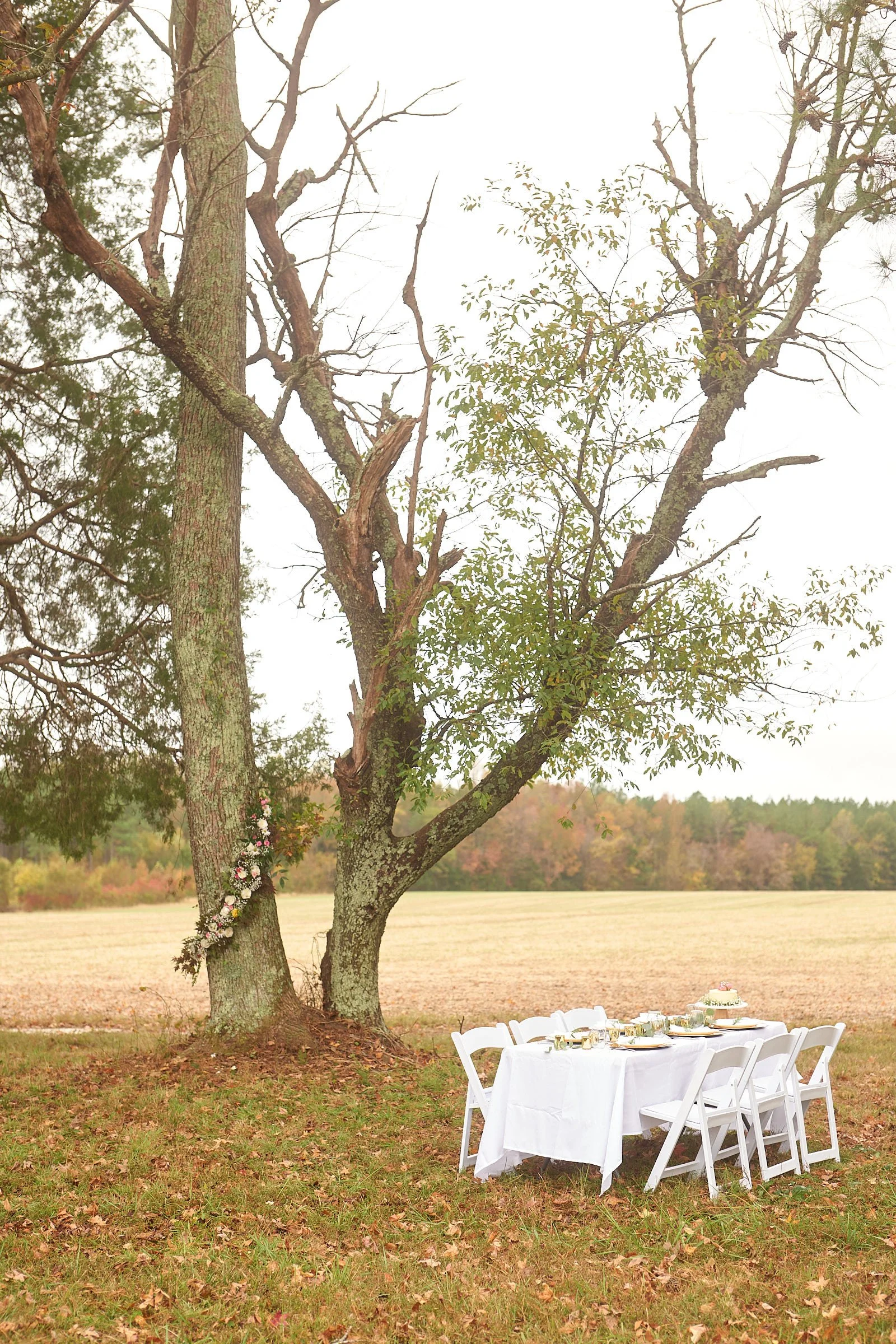 Outdoor dining setup under a large tree with a white tablecloth, chairs, and decorated with flowers, set in a grassy field with autumn trees in the background.