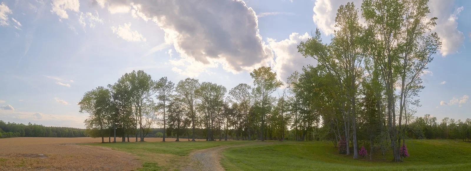 0423_LongviewFarm_005_PanoramaAsm.jpg