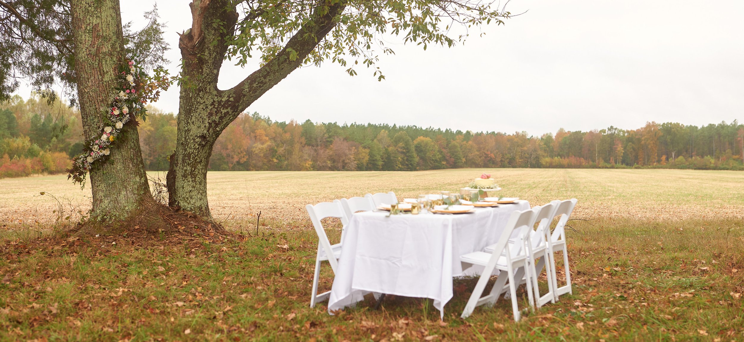 A long table set with white tablecloth, chairs, and tableware outdoors under a large tree in a grassy field with a forest in the background, decorated with pink flowers.