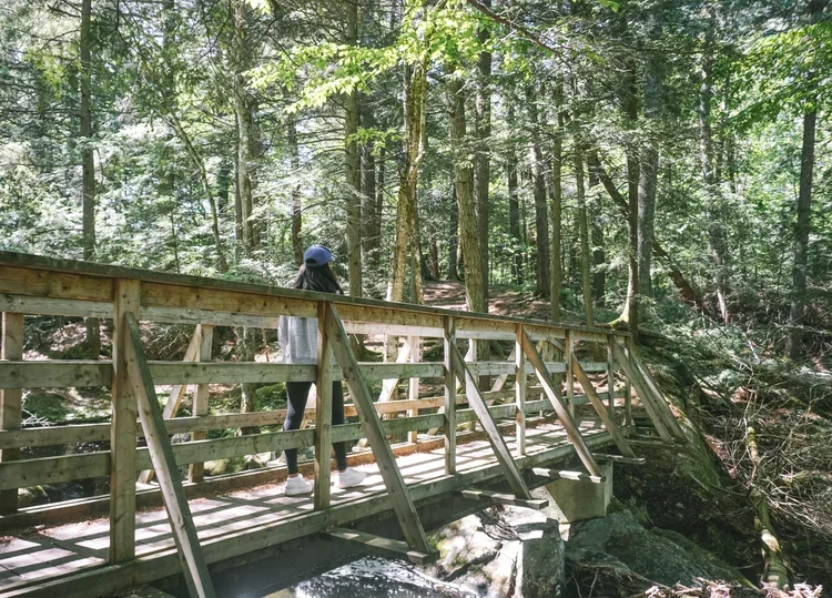Trans Canada Trail