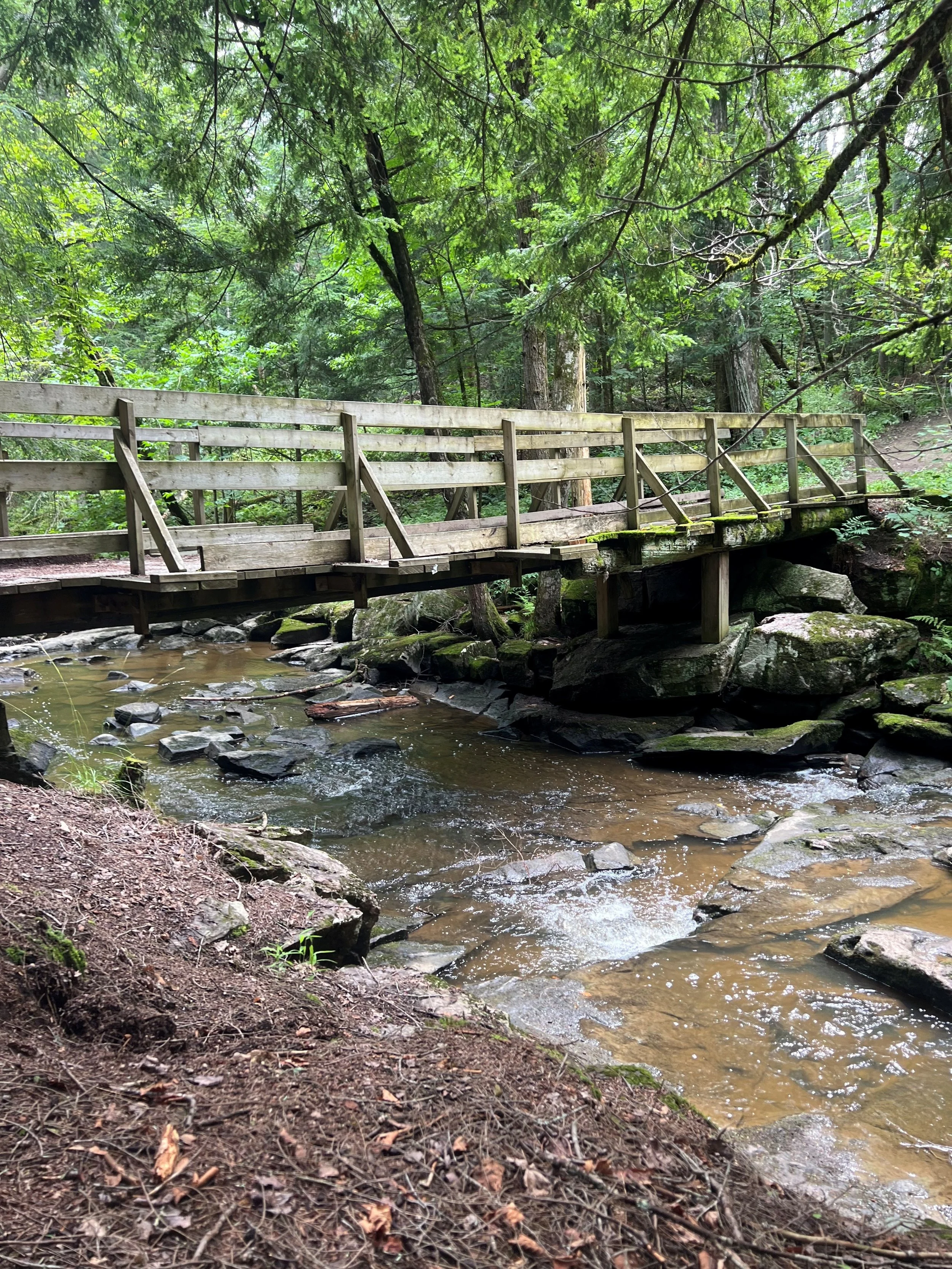 Covered Bridge South Monck Trail