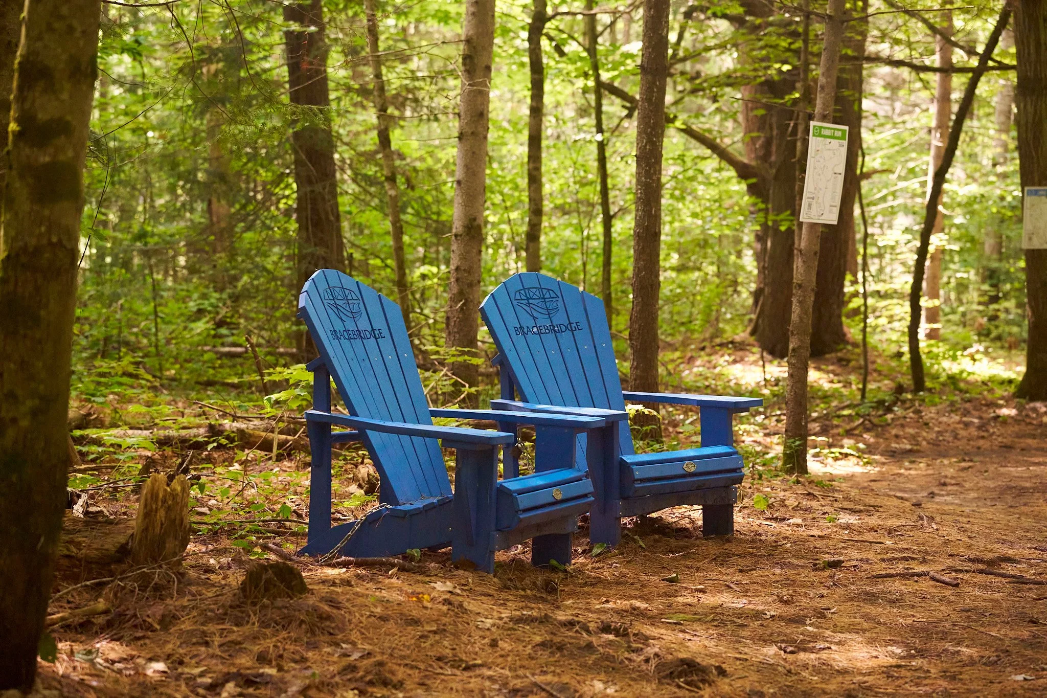 Muskoka Chair Tour