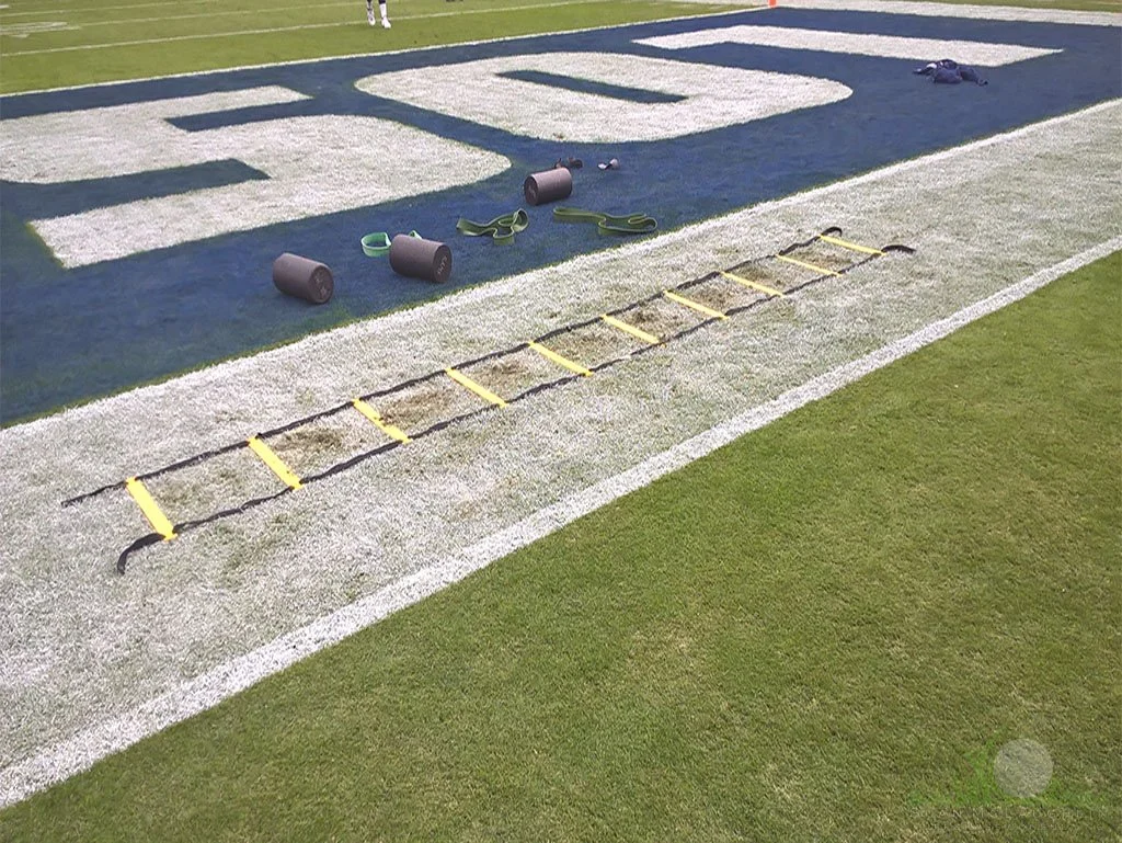 Wear damage on NFL football field sideline - © Sean P. McLaughlin