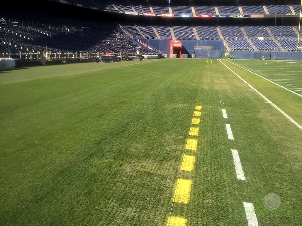 Sideline traffic on NFL field - © Sean P. McLaughlin