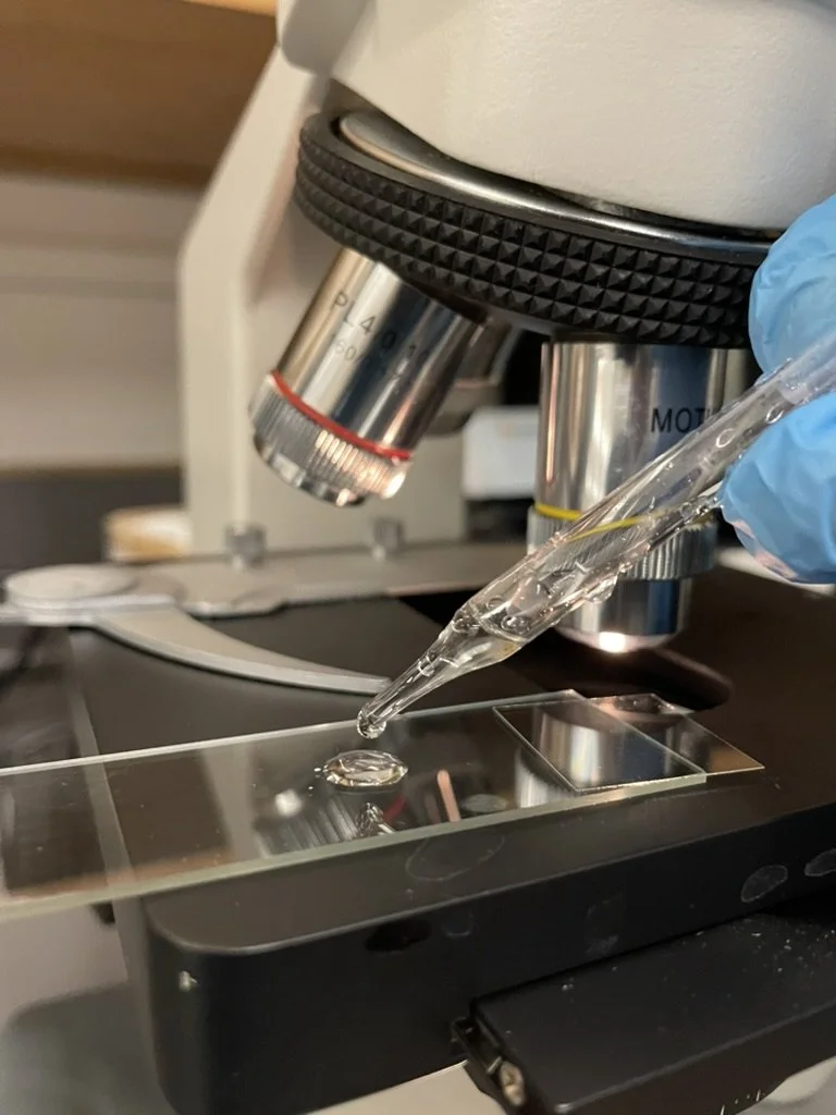Close-up of a microscope with a glass pipette held by gloved hand, releasing a liquid onto a slide in a laboratory setting.