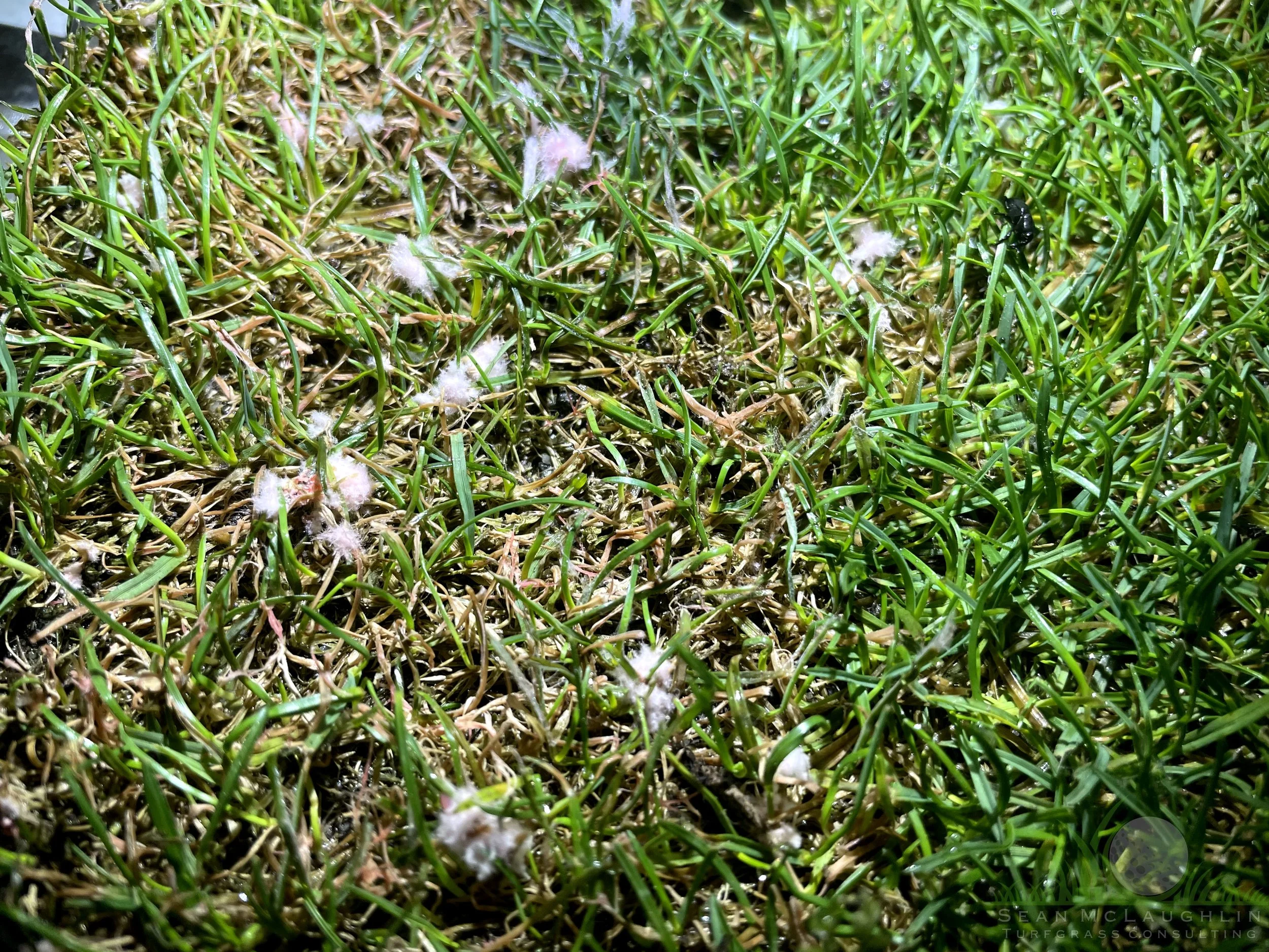 IMG_0144(6).jpeg