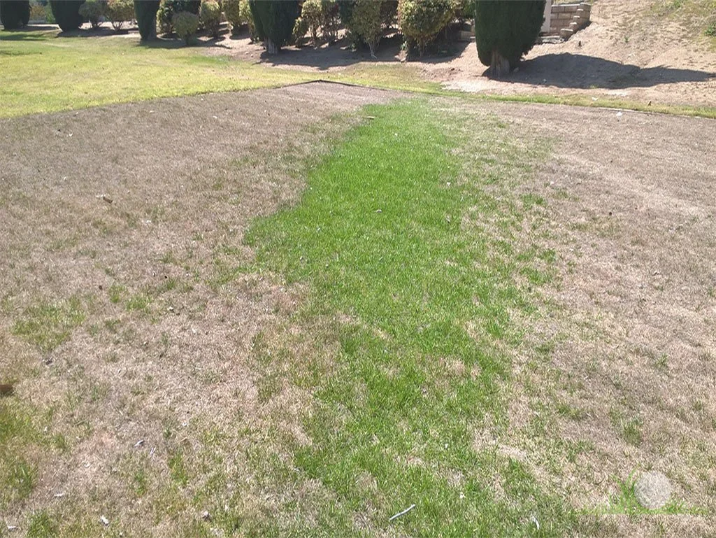 Stuck irrigation head - © Sean P. McLaughlin