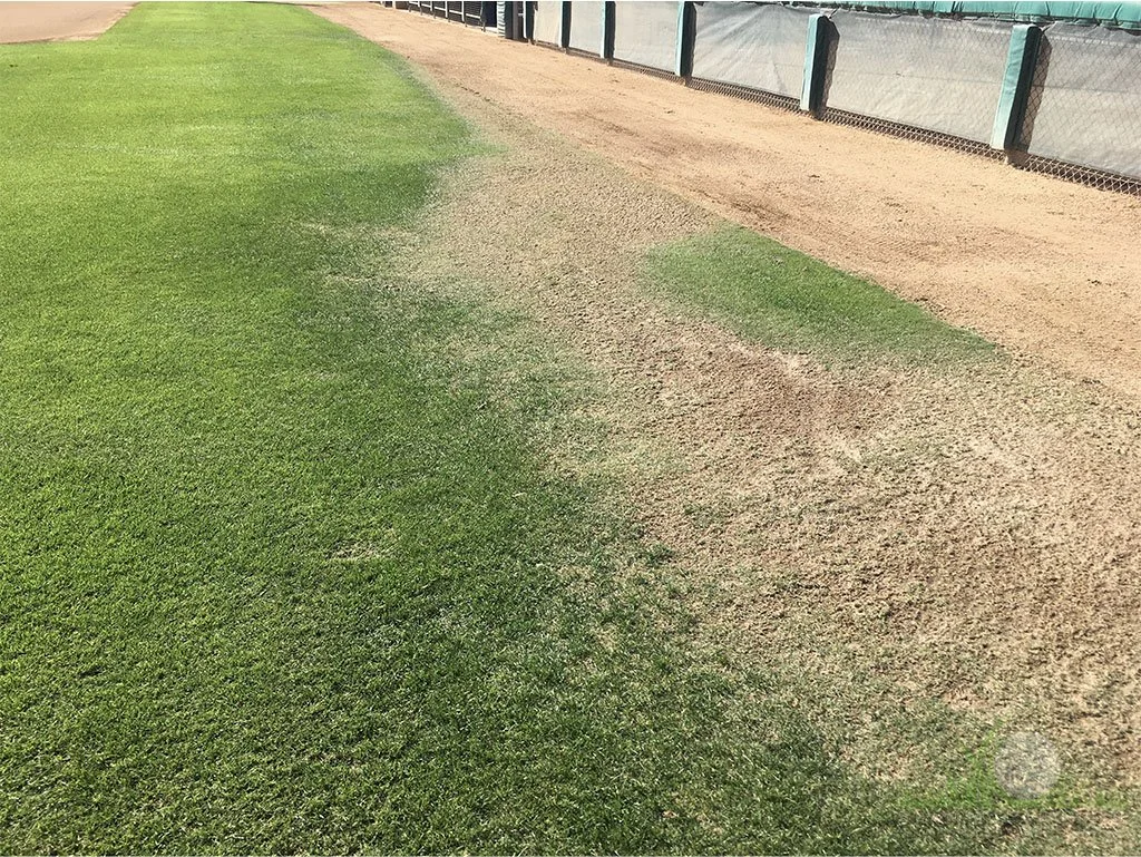 Irrigation issue on collegiate softball field- © Sean P. McLaughlin