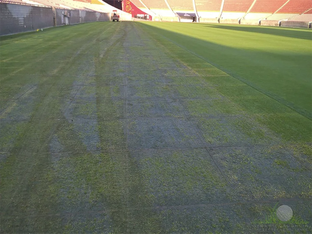 Traffic from semi-trucks over turf decking - © Sean P. McLaughlin
