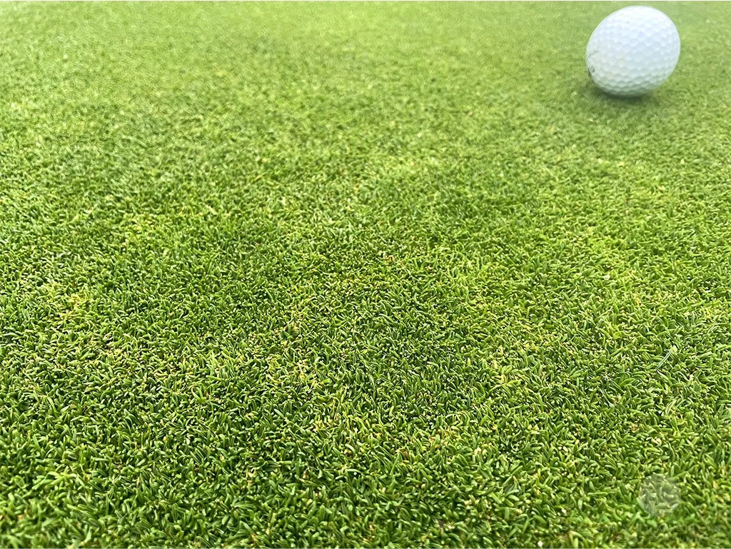 Irregular yellow rings on Poa annua green - City of Industry, CA - © Sean P. McLaughlin 