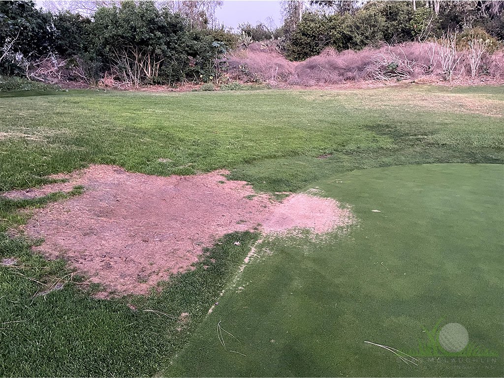 Hydraulic oil spill on golf course green - © Sean P. McLaughlin