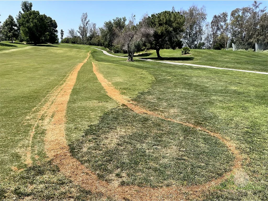 Abiotic Diseases