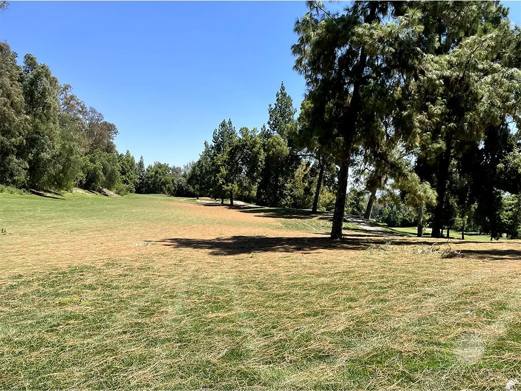 Hurricane wind debris on golf course fairway  - © Sean P. McLaughlin