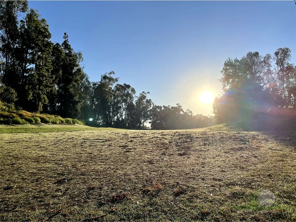 Hurricane wind debris on golf course fairway - © Sean P. McLaughlin