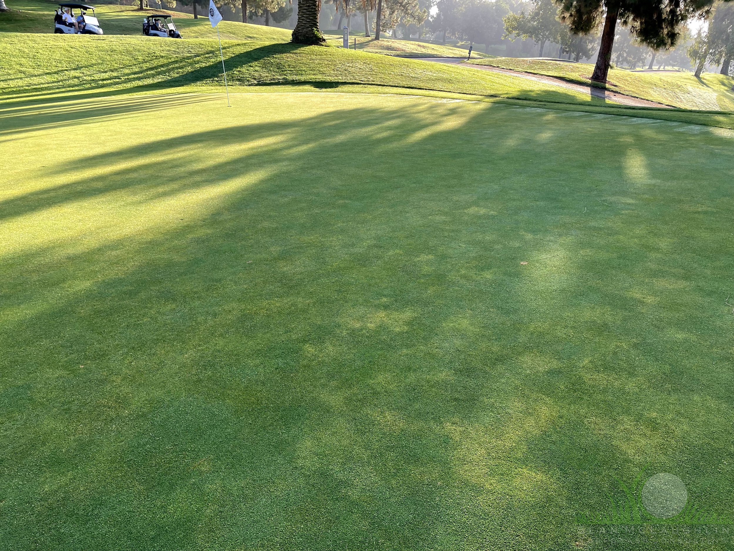 Summer Patch symptoms on Poa annua green - City of Industry, CA - © Sean P. McLaughlin