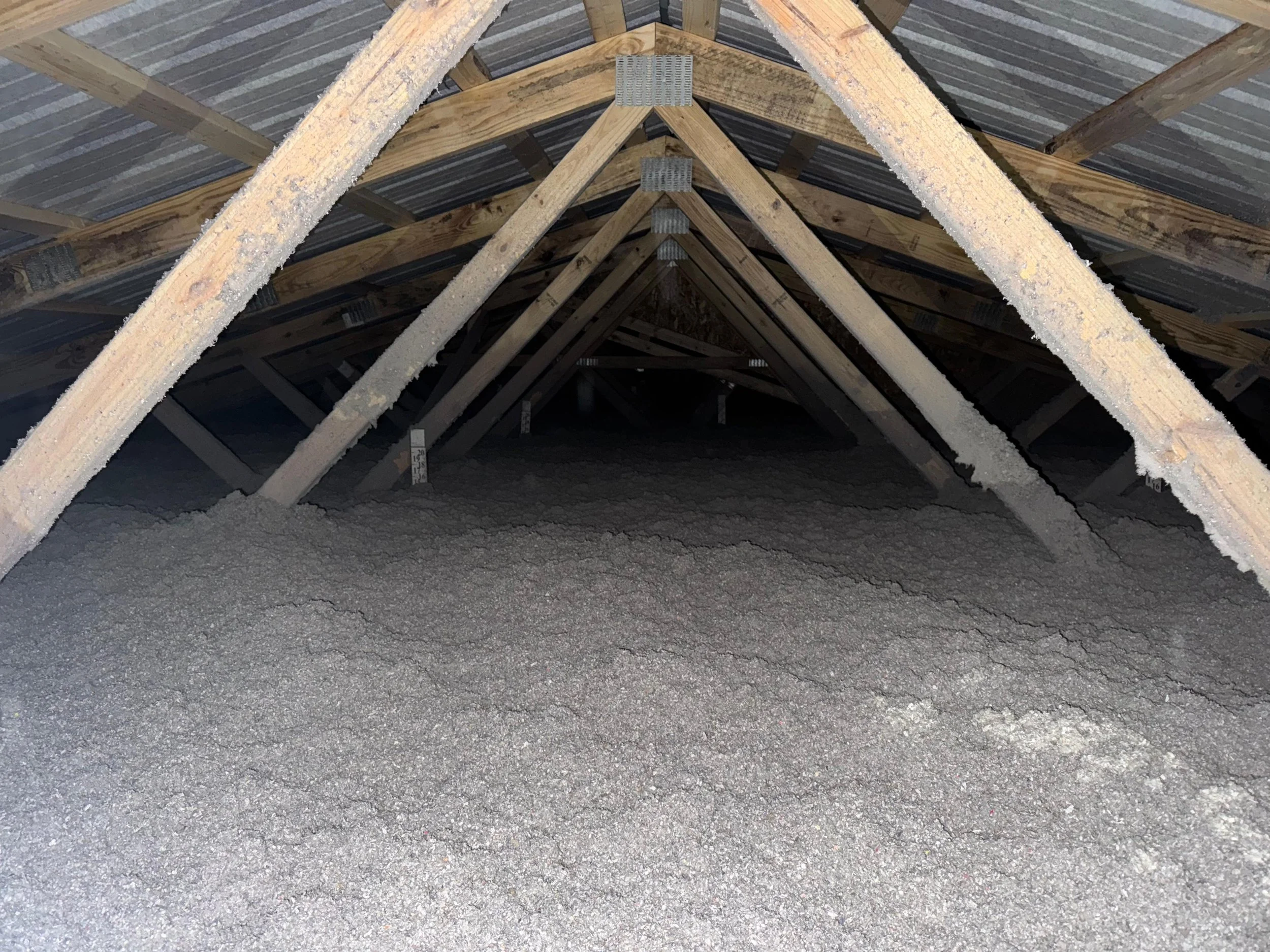 Attic cellulose