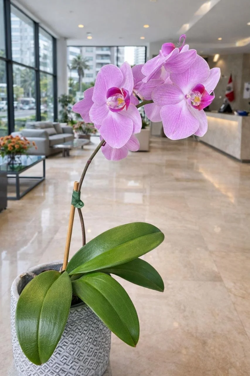 WhatsApp Image 2026-04-22 at 7.08.31 PM.jpeg