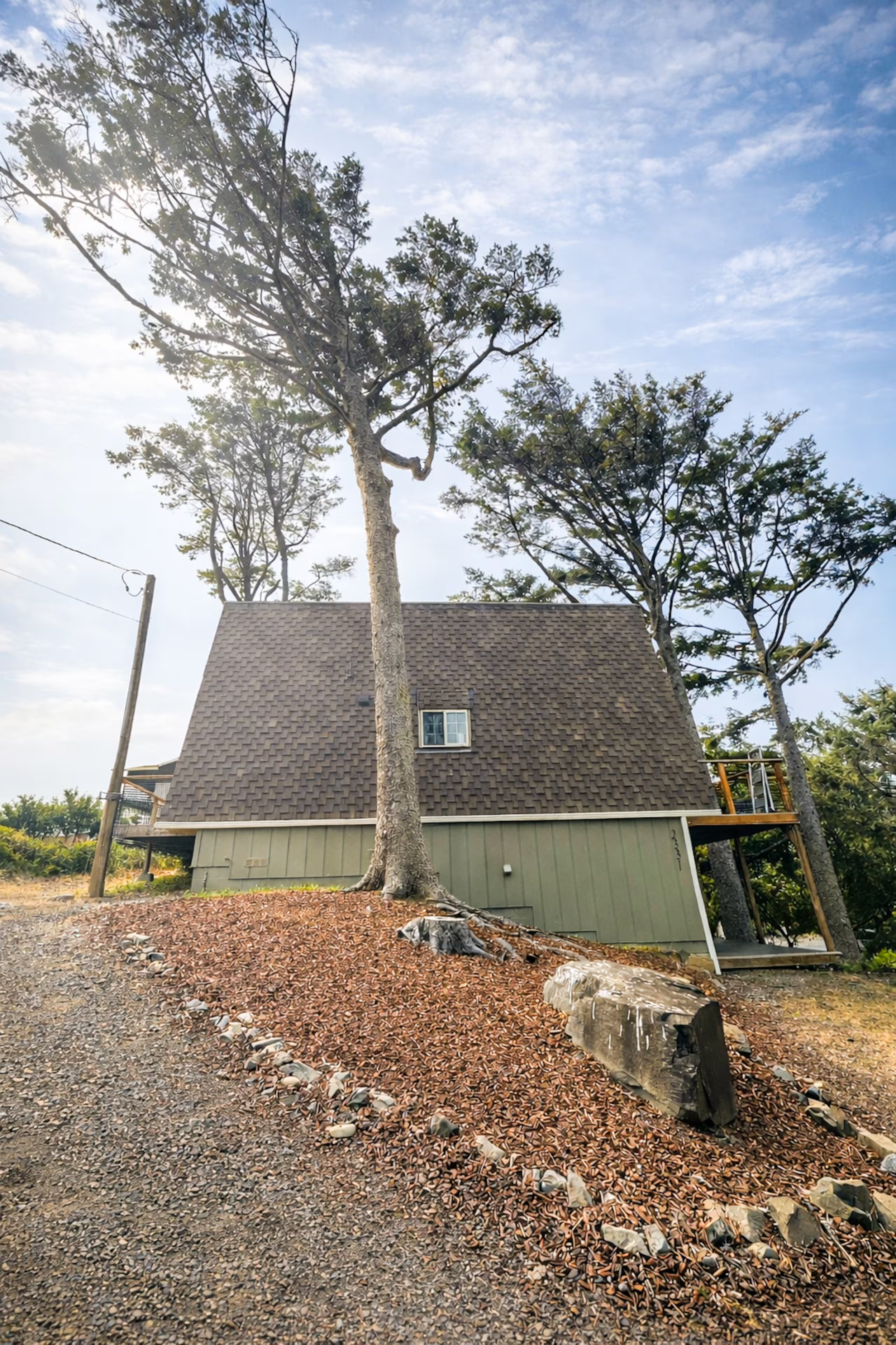 A house with a steep roof and small window, surrounded by several tall trees and a cloudy sky.