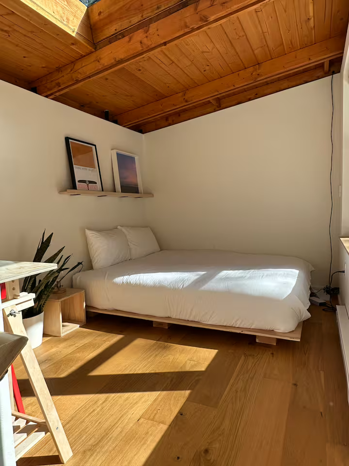 A cozy bedroom with a white bed against a white wall, decorated with two framed pictures on a floating shelf. Sunlight streams into the room, casting shadows on the wooden floor. There is a plant on a small wooden table to the left of the bed.