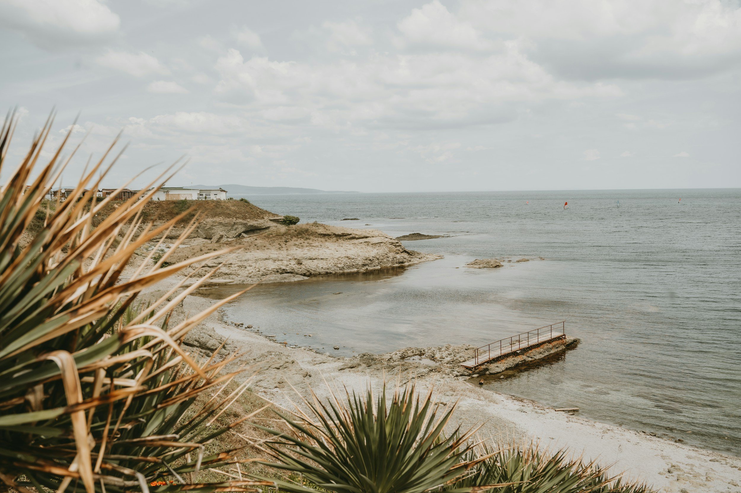 View of a rocky coastline with ocean waters and sailboats in the distance under a cloudy sky, with plants in the foreground.