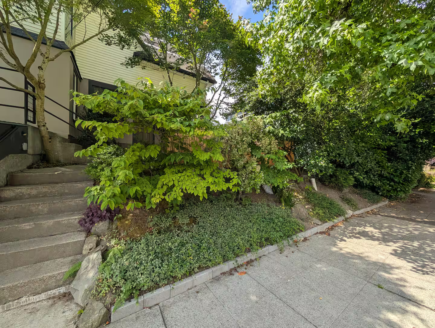 Residential front yard with concrete stairs leading to a house, surrounded by lush green bushes, trees, and plants, with a concrete sidewalk in the foreground.