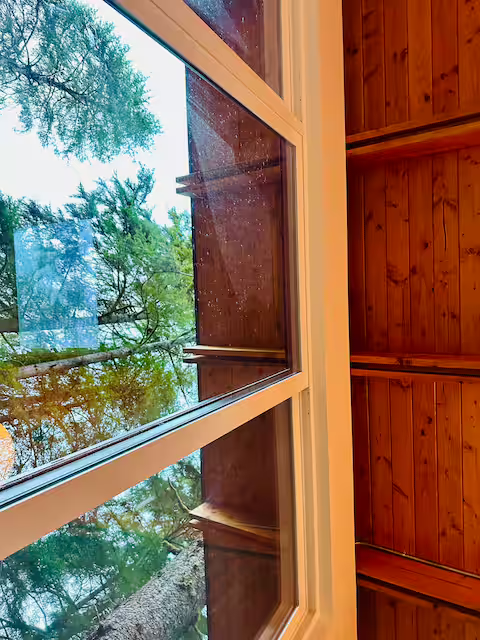 View through a window showing trees outside, with the window frame and interior wooden wall visible.