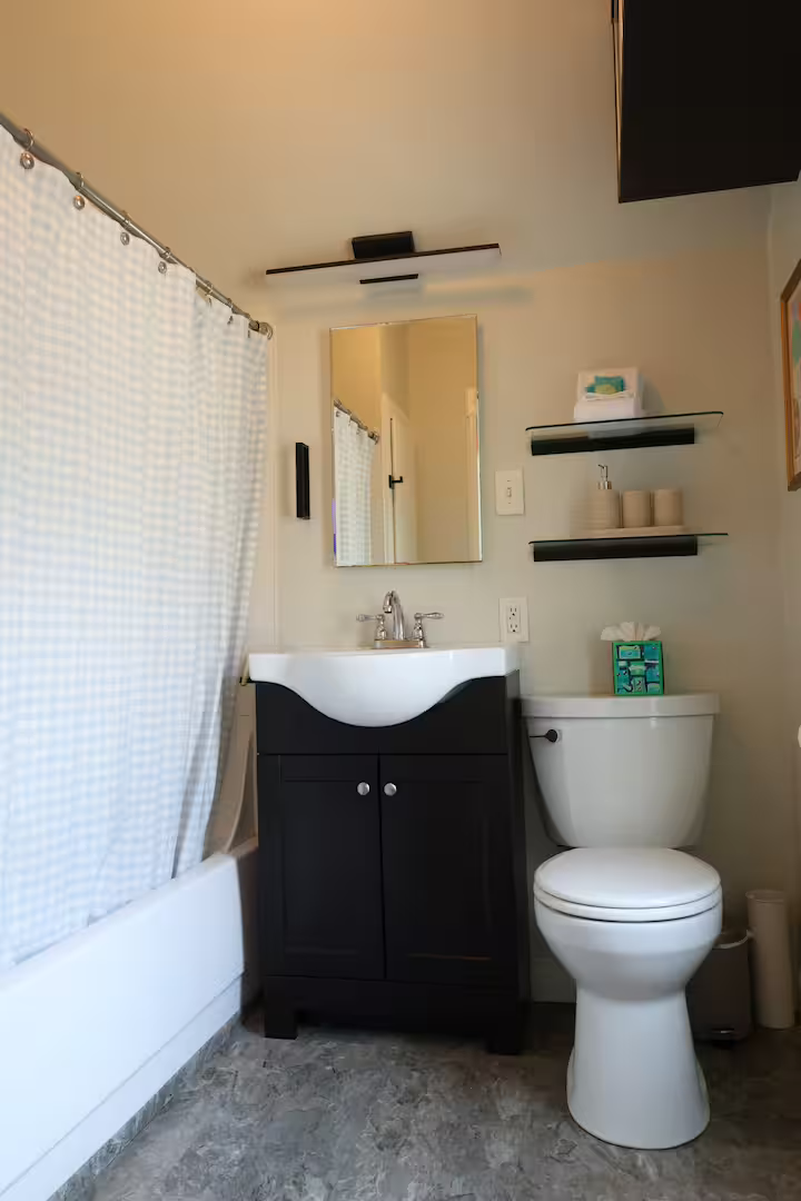 Small bathroom with a white toilet, a black vanity with a white sink, a mirror above the sink, and white checkered curtains on the bathtub to the left. There are two black shelves with soap and tissue on the right wall.