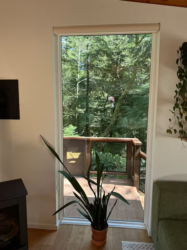 Interior view of a room with a sliding glass door leading to a porch surrounded by trees, with a potted plant in the foreground and a green armchair to the right.